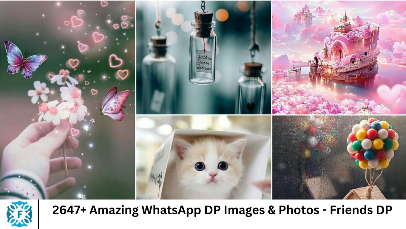 2647+ Amazing WhatsApp DP Images & Photos - Friends DP